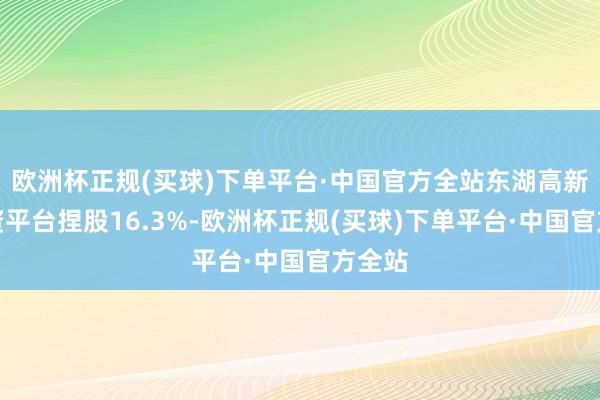 欧洲杯正规(买球)下单平台·中国官方全站东湖高新区国资平台捏股16.3%-欧洲杯正规(买球)下单平台·中国官方全站