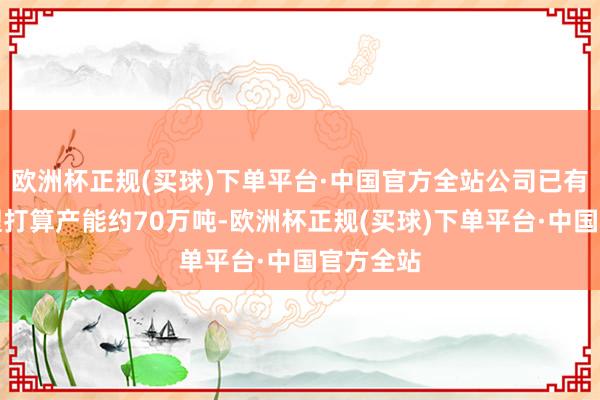 欧洲杯正规(买球)下单平台·中国官方全站公司已有磷酸铁锂打算产能约70万吨-欧洲杯正规(买球)下单平台·中国官方全站