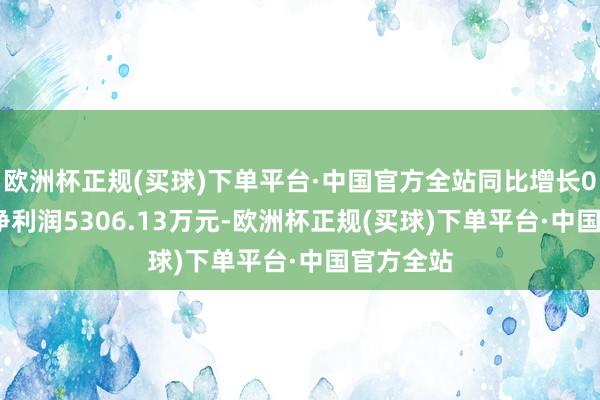 欧洲杯正规(买球)下单平台·中国官方全站同比增长0.83%；净利润5306.13万元-欧洲杯正规(买球)下单平台·中国官方全站