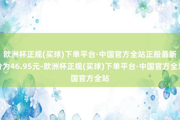 欧洲杯正规(买球)下单平台·中国官方全站正股最新价为46.95元-欧洲杯正规(买球)下单平台·中国官方全站