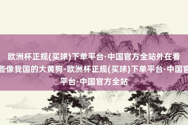 欧洲杯正规(买球)下单平台·中国官方全站外在看上去有些像我国的大黄狗-欧洲杯正规(买球)下单平台·中国官方全站