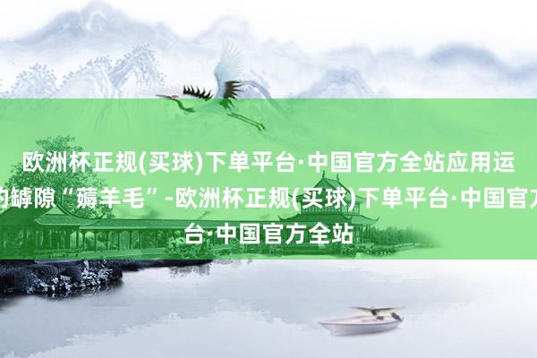 欧洲杯正规(买球)下单平台·中国官方全站应用运脚险的罅隙“薅羊毛”-欧洲杯正规(买球)下单平台·中国官方全站