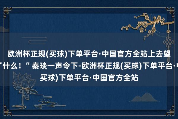 欧洲杯正规(买球)下单平台·中国官方全站上去望望到底发生了什么！”秦琰一声令下-欧洲杯正规(买球)下单平台·中国官方全站