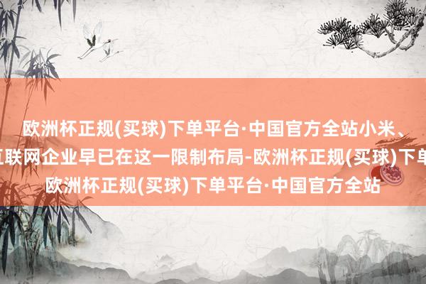 欧洲杯正规(买球)下单平台·中国官方全站小米、华为、天猫精灵等互联网企业早已在这一限制布局-欧洲杯正规(买球)下单平台·中国官方全站