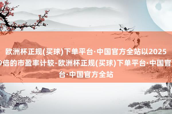 欧洲杯正规(买球)下单平台·中国官方全站以2025年11.9倍的市盈率计较-欧洲杯正规(买球)下单平台·中国官方全站