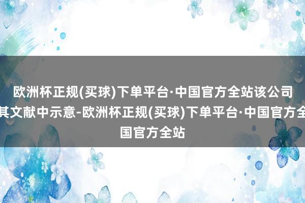 欧洲杯正规(买球)下单平台·中国官方全站该公司在其文献中示意-欧洲杯正规(买球)下单平台·中国官方全站