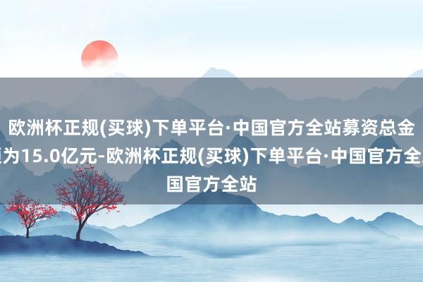 欧洲杯正规(买球)下单平台·中国官方全站募资总金额为15.0亿元-欧洲杯正规(买球)下单平台·中国官方全站