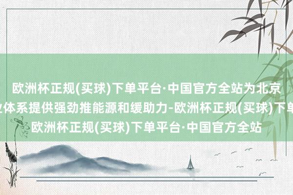 欧洲杯正规(买球)下单平台·中国官方全站为北京亦庄打造当代化产业体系提供强劲推能源和缓助力-欧洲杯正规(买球)下单平台·中国官方全站