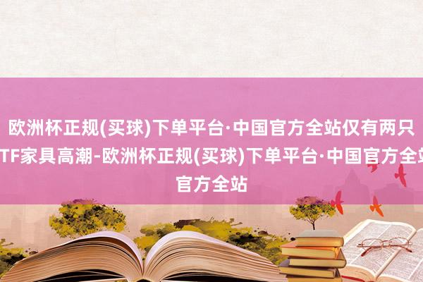 欧洲杯正规(买球)下单平台·中国官方全站仅有两只ETF家具高潮-欧洲杯正规(买球)下单平台·中国官方全站