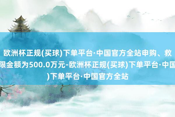 欧洲杯正规(买球)下单平台·中国官方全站申购、救助转入上限金额为500.0万元-欧洲杯正规(买球)下单平台·中国官方全站