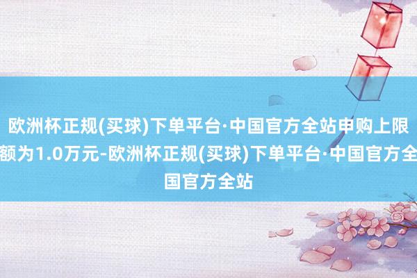 欧洲杯正规(买球)下单平台·中国官方全站申购上限金额为1.0万元-欧洲杯正规(买球)下单平台·中国官方全站