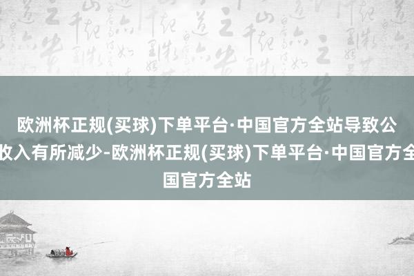 欧洲杯正规(买球)下单平台·中国官方全站导致公司收入有所减少-欧洲杯正规(买球)下单平台·中国官方全站