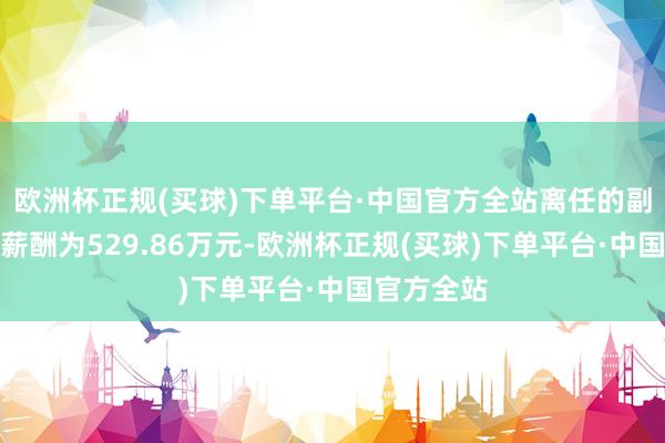 欧洲杯正规(买球)下单平台·中国官方全站离任的副行长的总薪酬为529.86万元-欧洲杯正规(买球)下单平台·中国官方全站