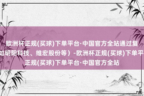 欧洲杯正规(买球)下单平台·中国官方全站通过复盘近期强势股（如明阳科技、维宏股份等）-欧洲杯正规(买球)下单平台·中国官方全站